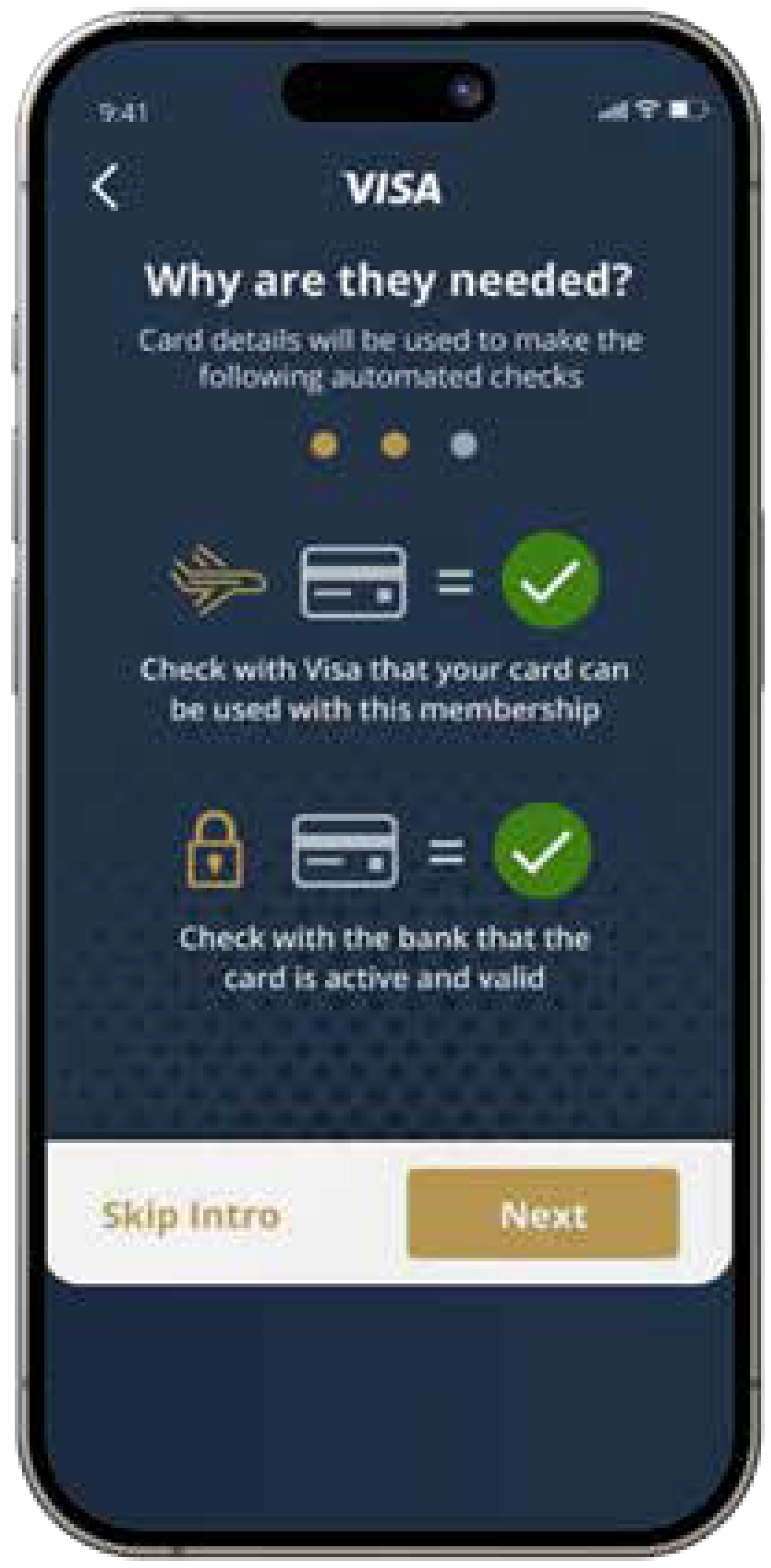 Visa Airport Companion App